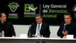 Ley Bienestar Animal