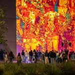 Rafael Lozano-Hemmer presenta El Jardín inconcluso en el Museo de Arte Moderno