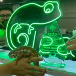 Serpientes, arañas y ajolotes te esperan en Animalia 2026