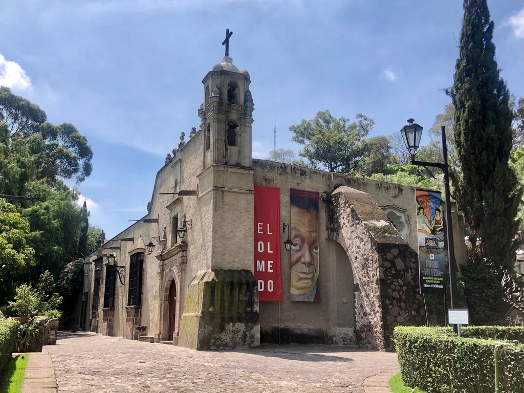 Tras 6 años de espera, el Museo Dolores Olmedo regresa