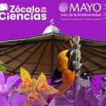 Zócalo de las Ciencias talleres ciencia y naturaleza gratis