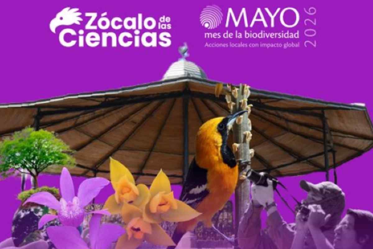 Zócalo de las Ciencias talleres ciencia y naturaleza gratis