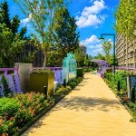 Tlalpan estrena Jardín Flotante con esculturas monumentales