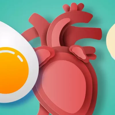 La ciencia aclara si los huevos aumentan el colesterol