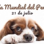 Día Mundial del perro: todo sobre esta importante fecha