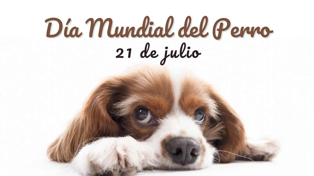 Día Mundial del perro: todo sobre esta importante fecha