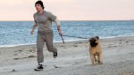 Anthony Ippolito interpreta a Sylvester Stallone