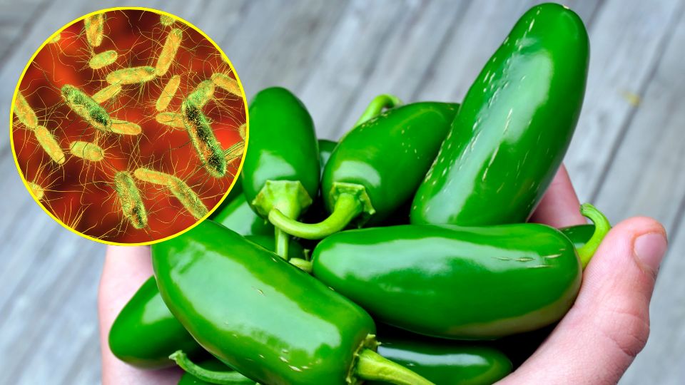 Cofepris investiga el Jalapeño tras alerta de salmonella